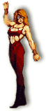 Accolita